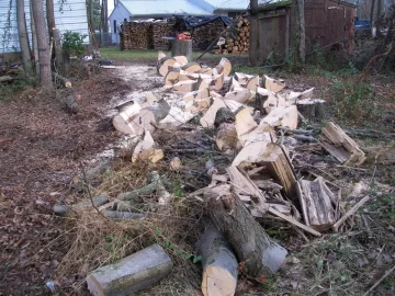 [Hearth.com] I love cutting wood....