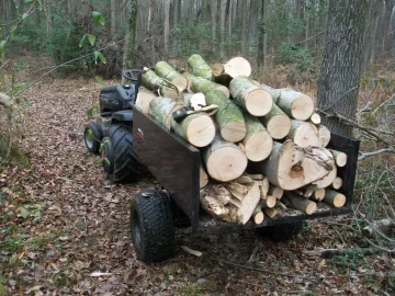 [Hearth.com] I love cutting wood....