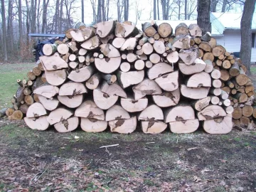 [Hearth.com] I love cutting wood....