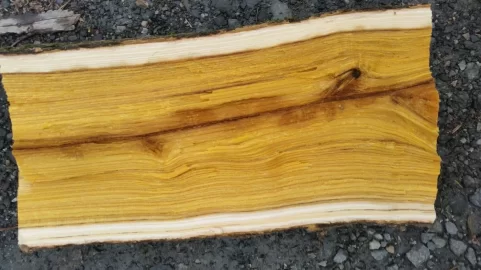 [Hearth.com] Wood ID Help