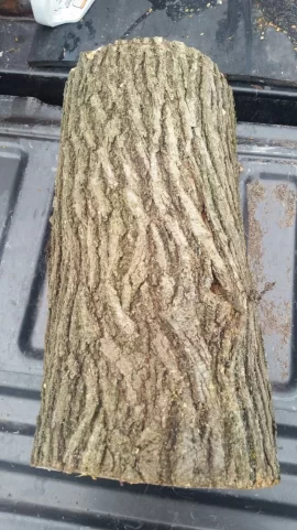 [Hearth.com] Wood ID Help