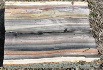 [Hearth.com] Poplar time