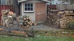 Emerald Ash Borer devastating our neighborhood trees - what to do with wood