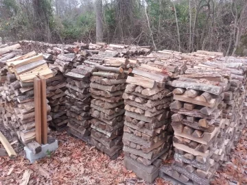 [Hearth.com] Hackberry and cherry