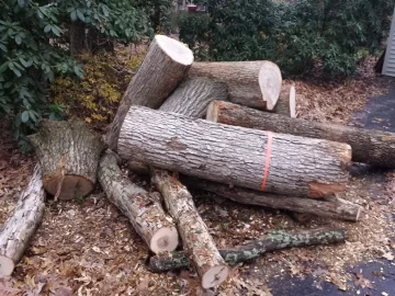 [Hearth.com] Oak Score