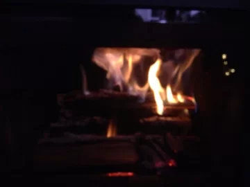 [Hearth.com] Learning the new Englander Madison