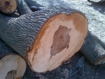 [Hearth.com] Wood ID Please