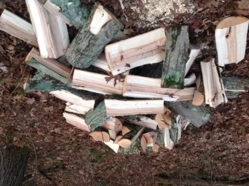 [Hearth.com] Red maple or Red oak??