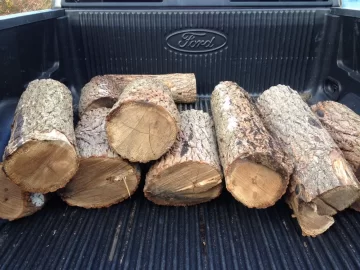 [Hearth.com] Wood I'd pleAse