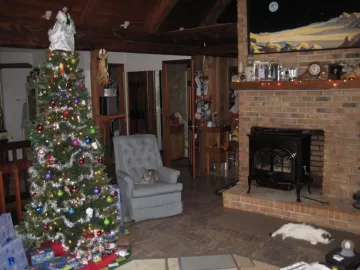 [Hearth.com] Kitties Keeping Warm by the Christmas Fire