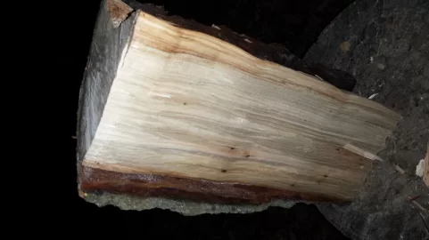 [Hearth.com] wood id