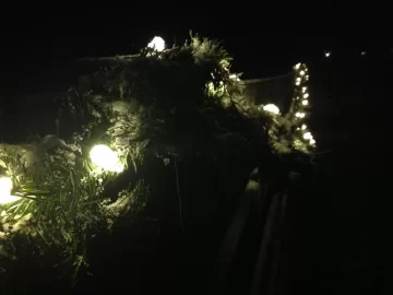 [Hearth.com] X-mas lights?  Show em if ya got em.