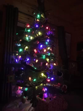 [Hearth.com] Merry Christmas (Eve)!