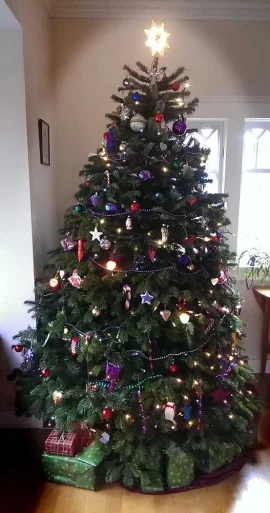 [Hearth.com] Merry Christmas (Eve)!