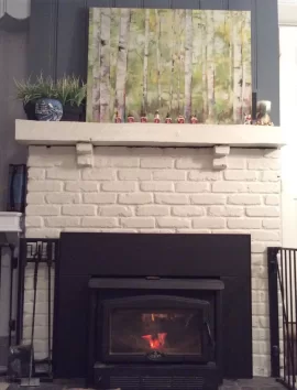 [Hearth.com] Christmas 2014: Let's See Your Yule Log