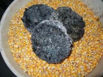 [Hearth.com] wood pellets or corn?