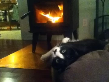 [Hearth.com] Newbie Woodstove Owner
