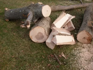 [Hearth.com] wood id?