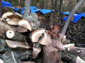 [Hearth.com] What type of oak??