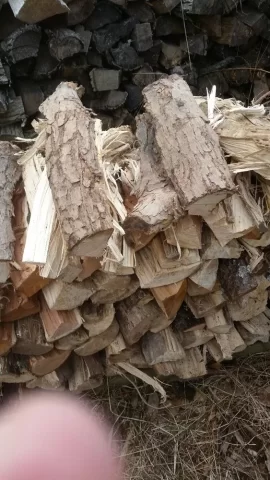 [Hearth.com] What is this shredded mess?