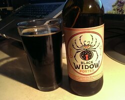 black widow.jpg