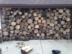 Bored and trying to learn my firewood