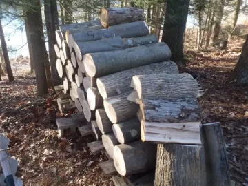 [Hearth.com] New Year's Day score !