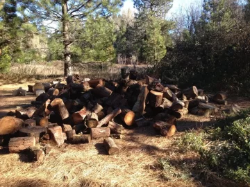 [Hearth.com] New Years score