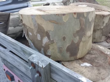 [Hearth.com] Wood ID please.