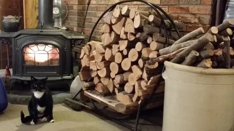 [Hearth.com] Cold and snow coming, were ready.