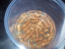 pellets in water