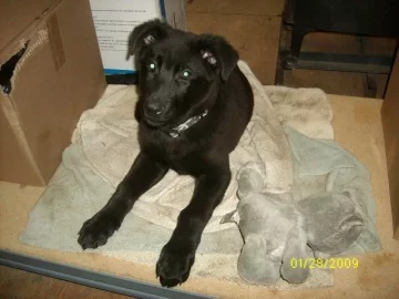 [Hearth.com] Pellets 10 weeks today