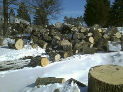 Next winter's wood