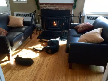 [Hearth.com] doberman loving woodstove