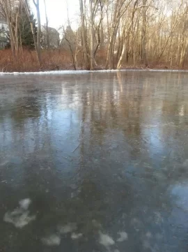 [Hearth.com] Backyard Rink