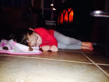 [Hearth.com] Wood Stove 1 : Daughter 0