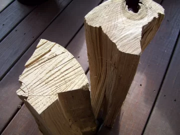 [Hearth.com] Another wood i.d. question