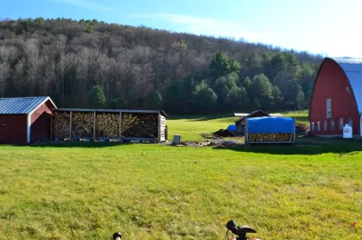 [Hearth.com] New seasoning shed...install