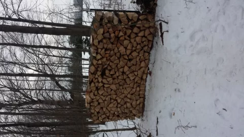[Hearth.com] split all the ash rounds today