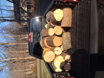 [Hearth.com] Greenish yellow wood ID