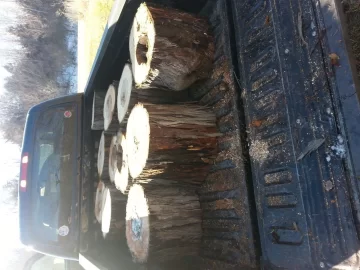 [Hearth.com] Shag bark hickory?