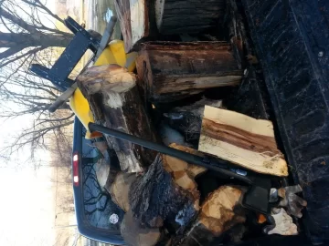 [Hearth.com] Shag bark hickory?