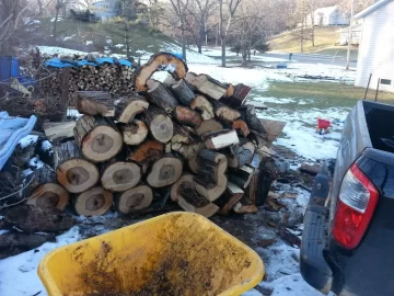 [Hearth.com] Shag bark hickory?