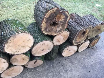 [Hearth.com] Score! ID?