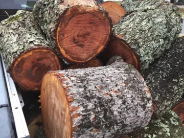 [Hearth.com] Score! ID?