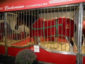 [Hearth.com] Edited :  Time For The Annual Clydesdale Super Bowl Commercial....