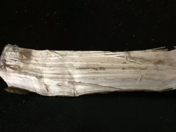 [Hearth.com] Wood species