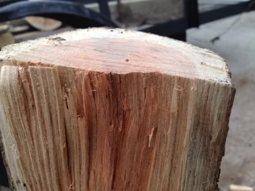 [Hearth.com] Wood ID