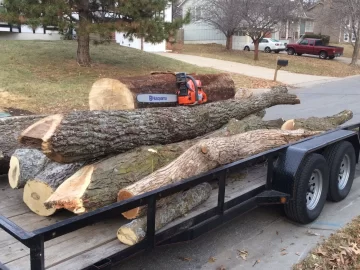 [Hearth.com] My latest wood score