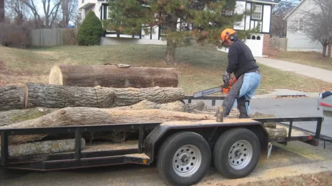 [Hearth.com] My latest wood score